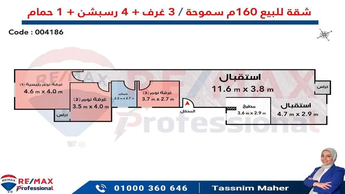 امتلك شقتك في سموحه شارع ادمون فريمون-فيو مفتوح