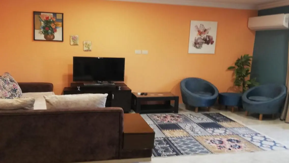 Luxury Apartment Near AUC