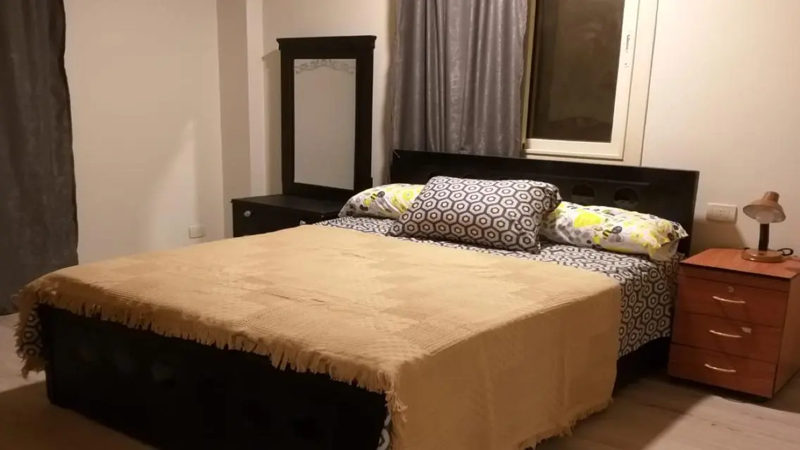 Luxury Apartment Near AUC