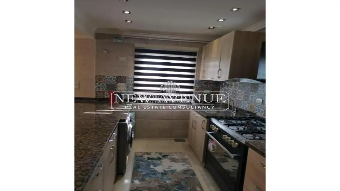 Fully finished penthouse with roof in MV hyde park