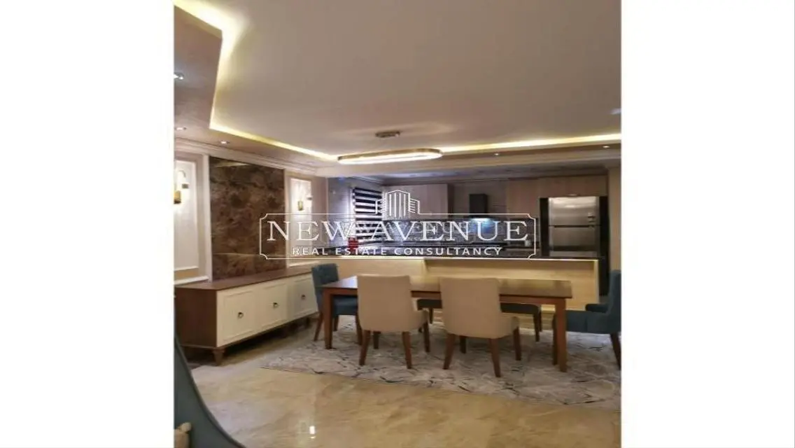 Fully finished penthouse with roof in MV hyde park