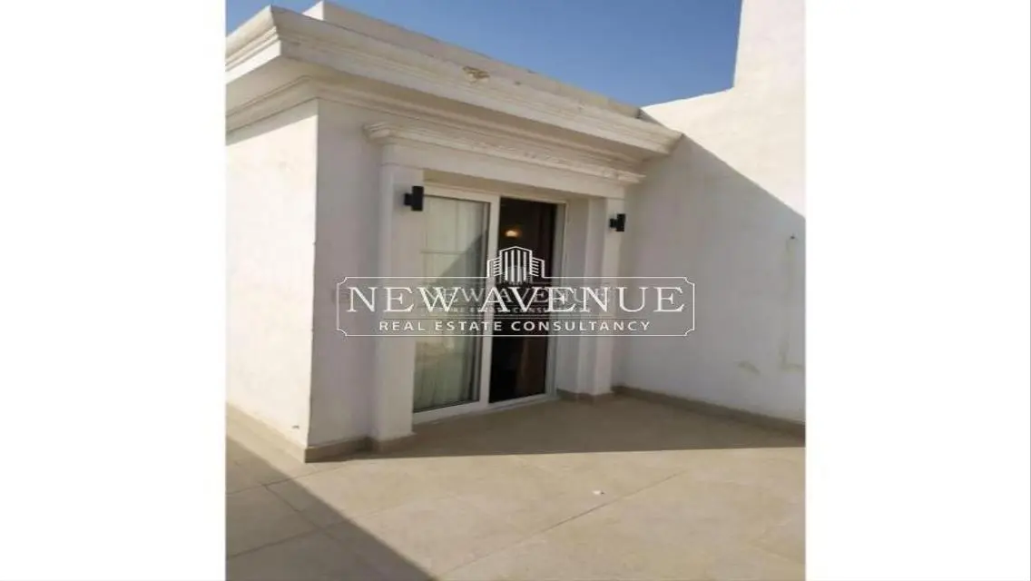 Fully finished penthouse with roof in MV hyde park