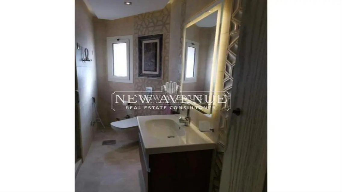 Fully finished penthouse with roof in MV hyde park