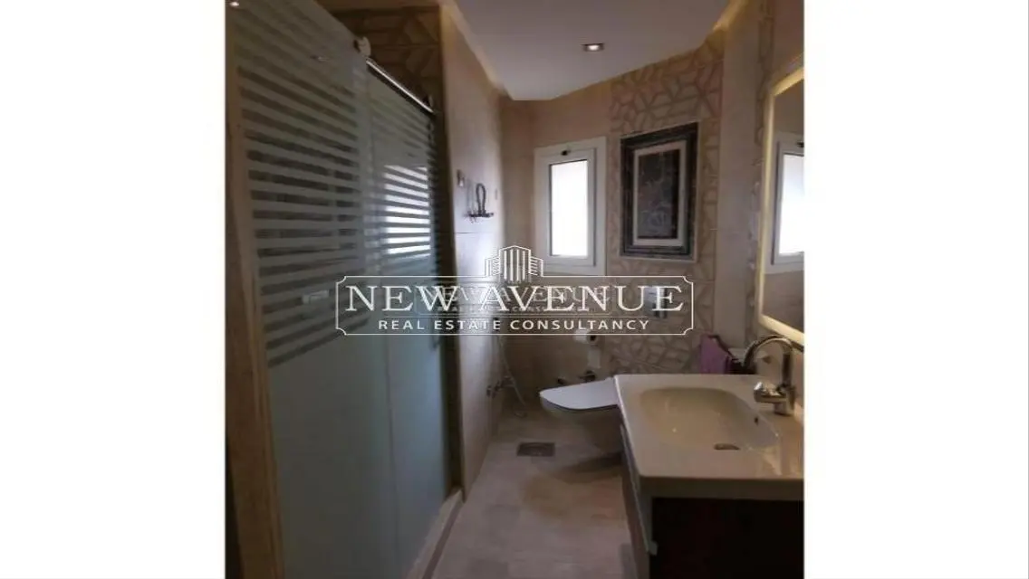 Fully finished penthouse with roof in MV hyde park