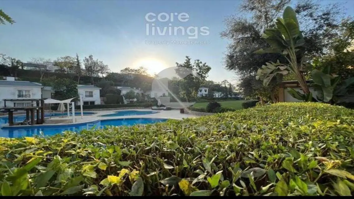 Own Your Garden Apartment With 3% DP Only Over 10Y
