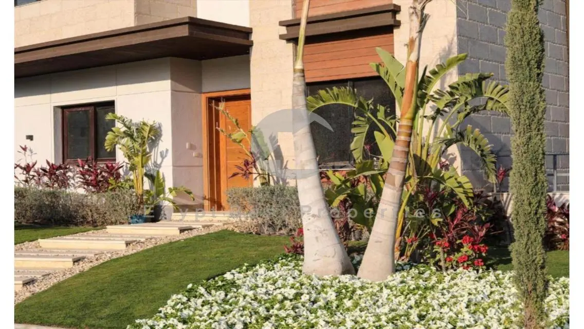 Luxury Living at an Unbeatable Price in Dijar