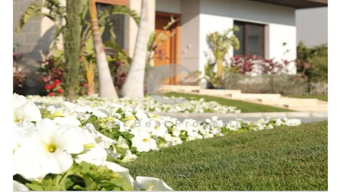 Luxury Living at an Unbeatable Price in Dijar