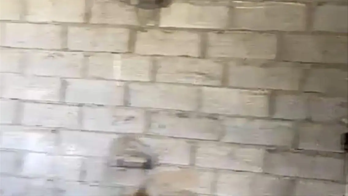 للبيع اى فيلا فى كمبوند ماونتن فيو هايد بارك