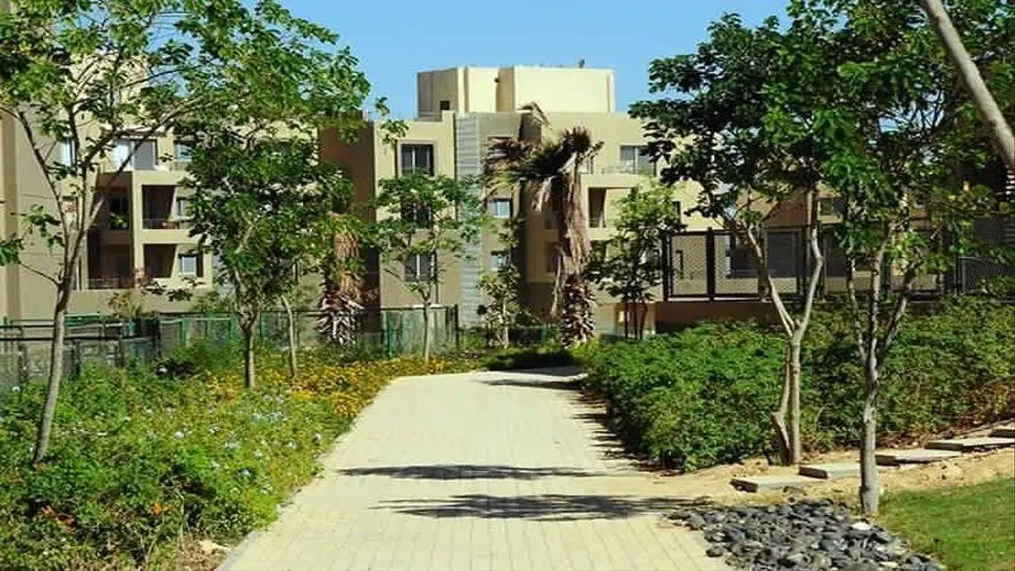 ِشقة لقطة استلام فوري متشطبة من بالم هيلز