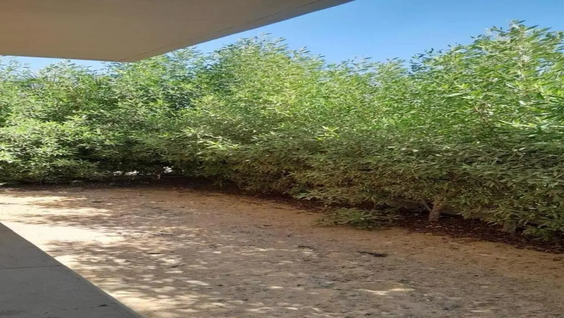 Luxury Home with Private Balcony and Garden for Sale