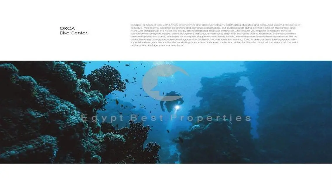 Aparmtent for sale in Bay west Soma bay