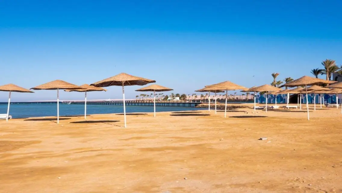 Apt 77 m2 immediate delivery with Private Beach