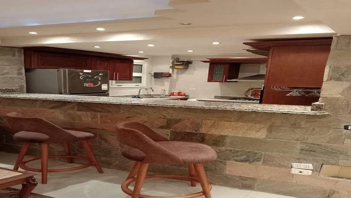 Furnished apartment for daily rent in Nasr City