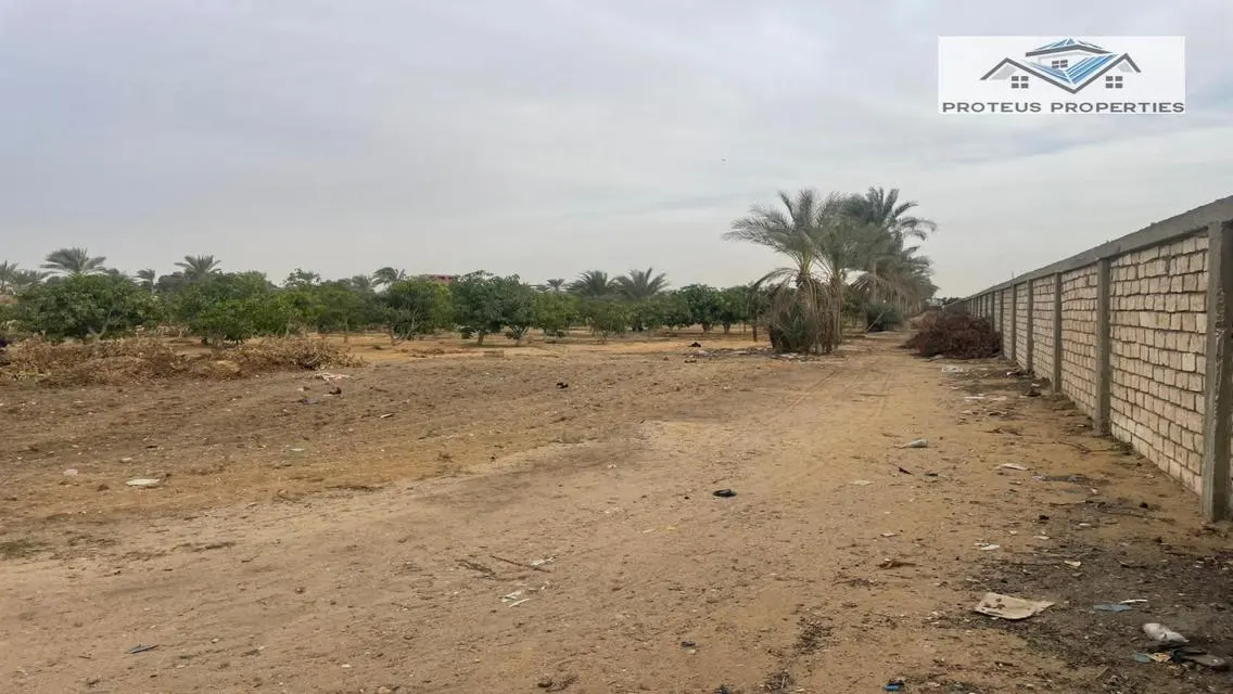 مزرعة للبيع 8فدان الرحاب شارع عرابي
