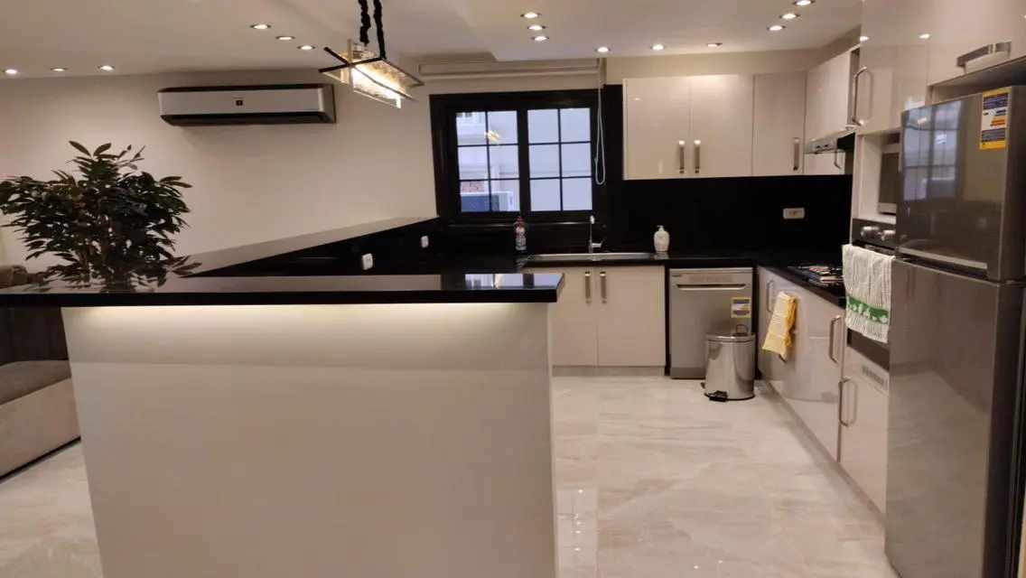 Furnished hotel apartment for rent in Dokki