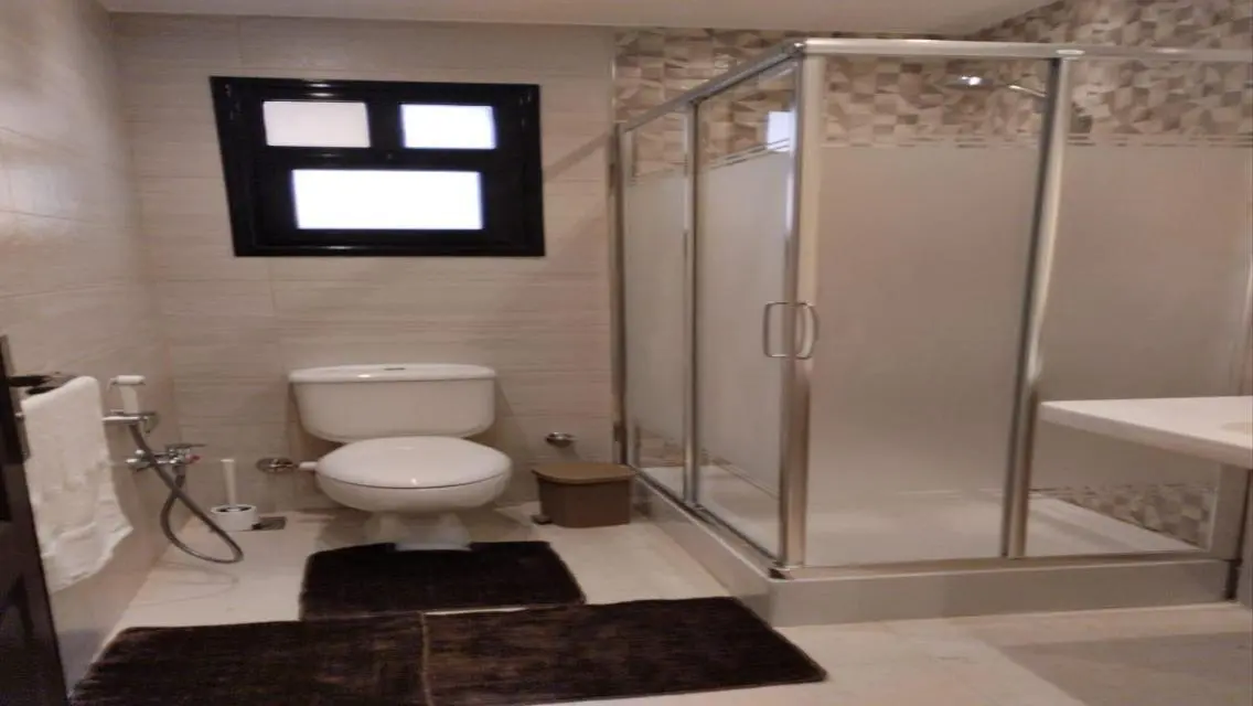 Furnished hotel apartment for rent in Dokki