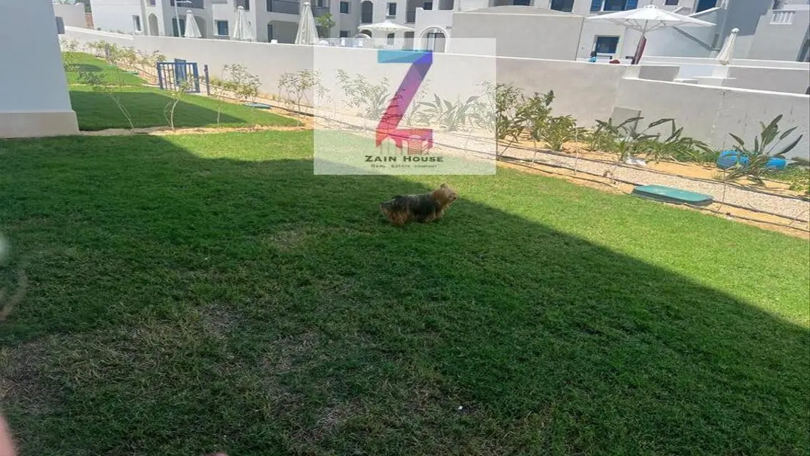 استوديو للبيع فى مراسى جريك سيدى عبدالرحمن