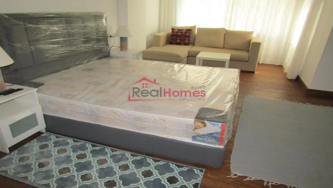 Ultra modern ground floor apartment in zamalek
