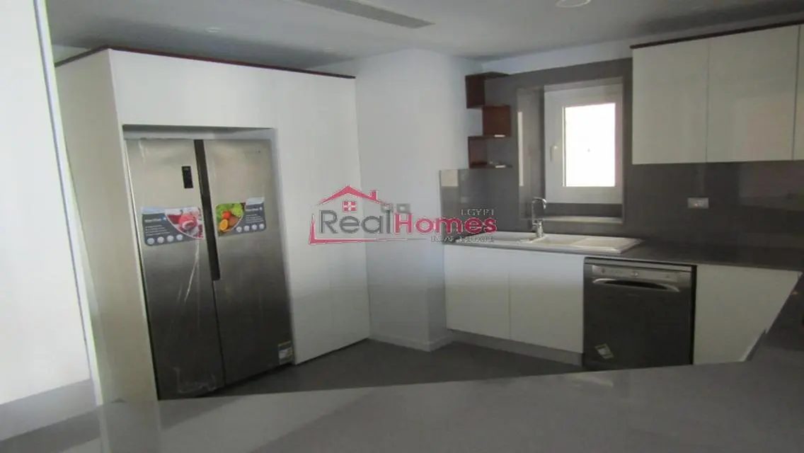 cozy and bright apartment for rent at zamalek