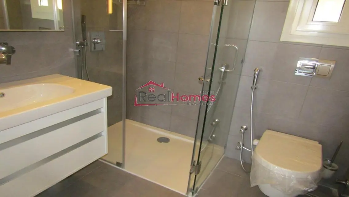 cozy and bright apartment for rent at zamalek