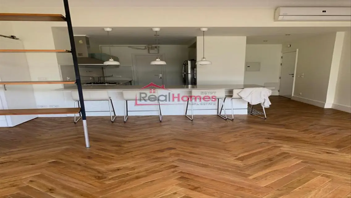 Newly renovated modern apartment in zamalek