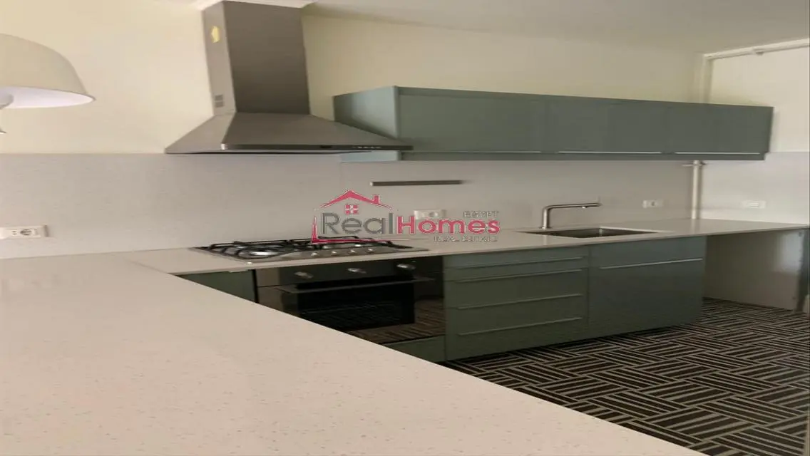 Newly renovated modern apartment in zamalek