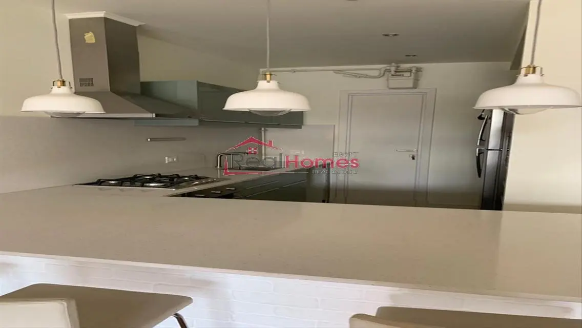 Newly renovated modern apartment in zamalek