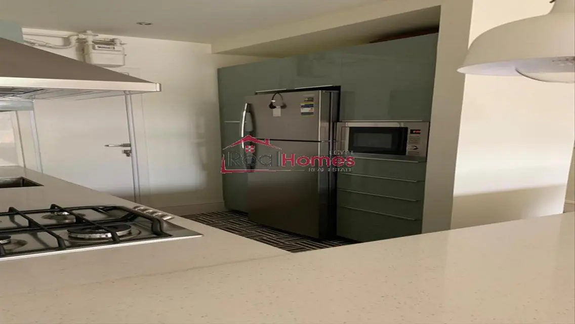 Newly renovated modern apartment in zamalek
