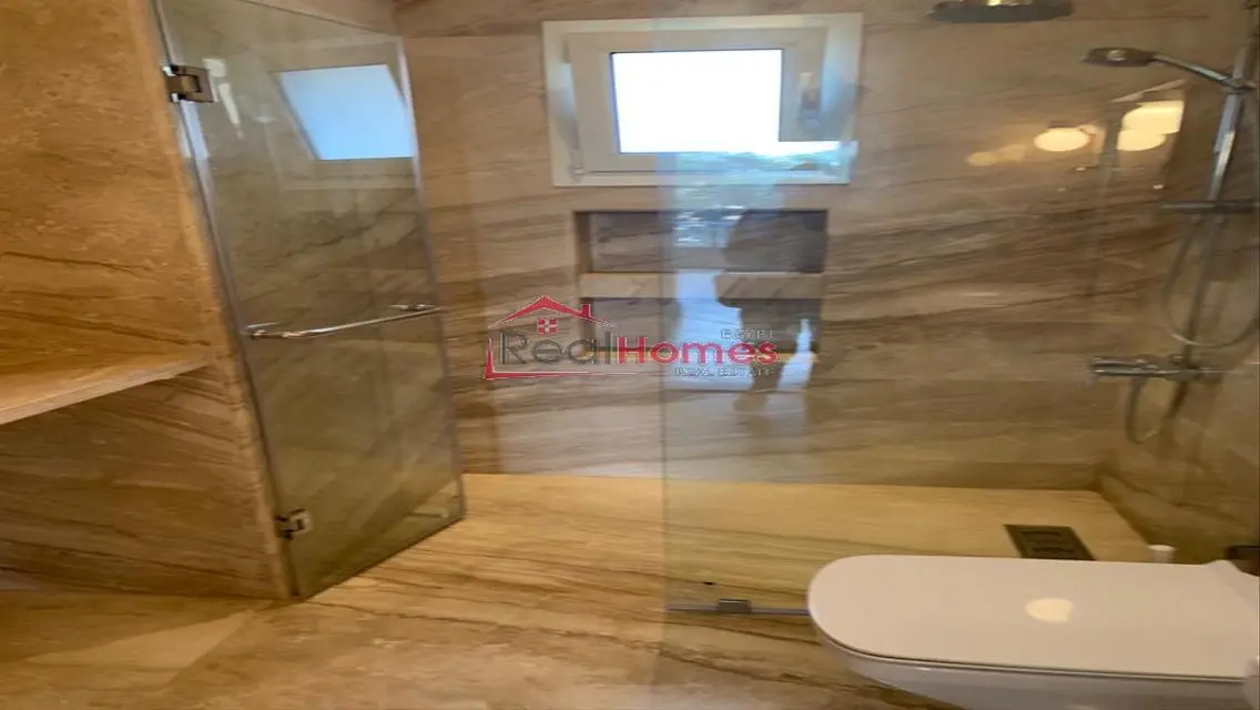 Newly renovated modern apartment in zamalek