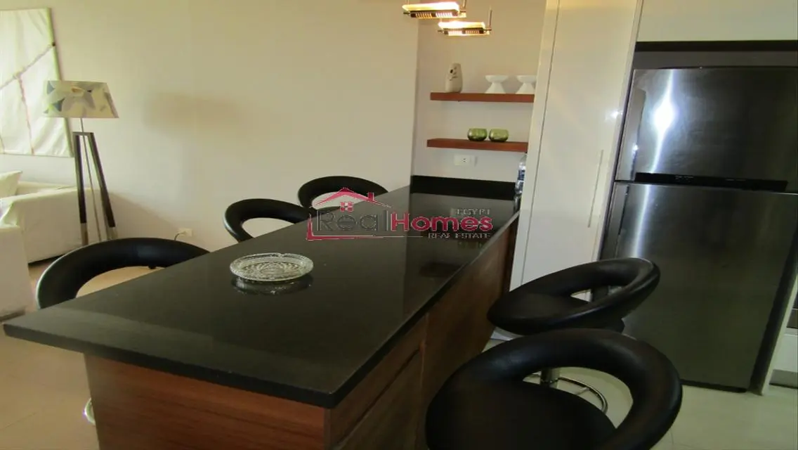 unique apartment nile view for rent