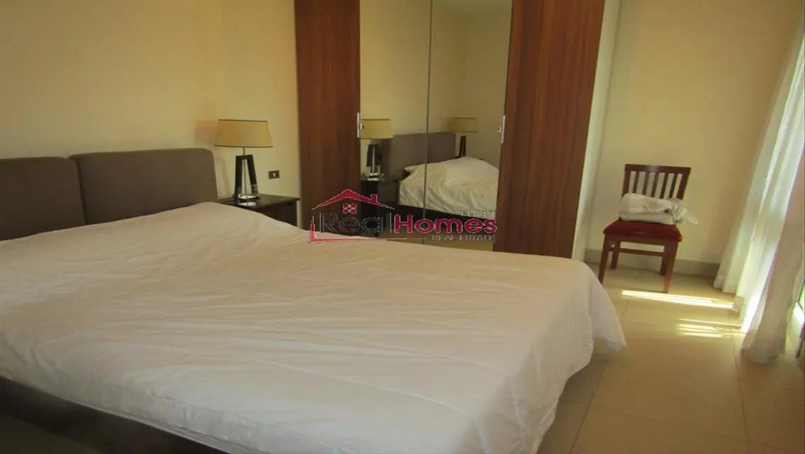 unique apartment nile view for rent