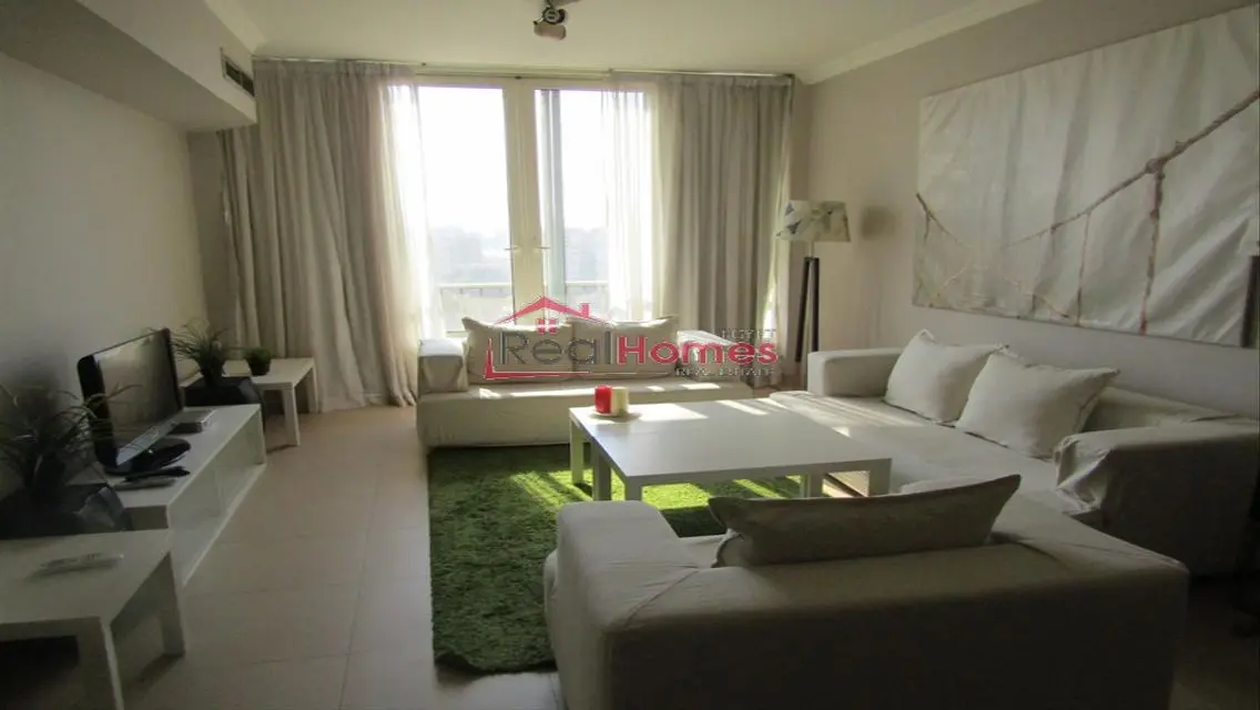 unique apartment nile view for rent