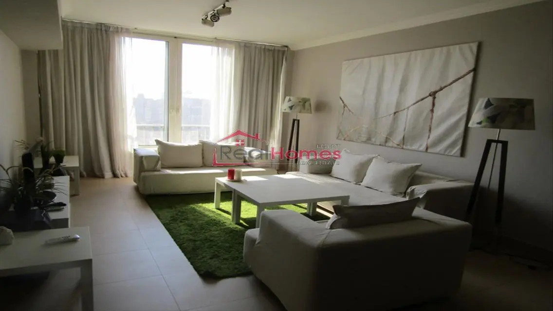 unique apartment nile view for rent