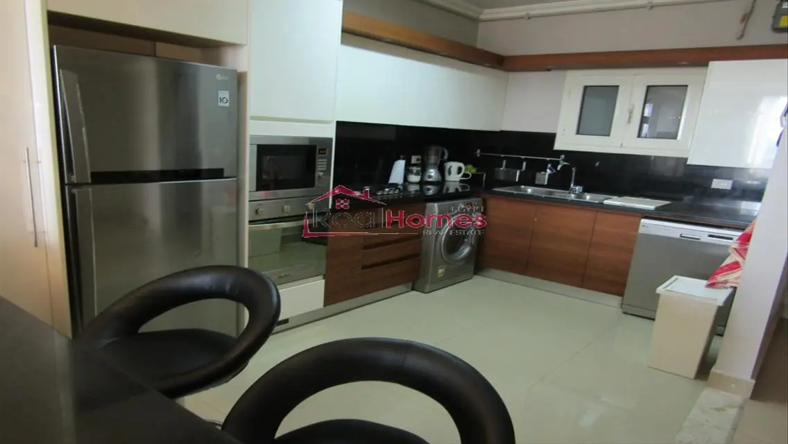unique apartment nile view for rent