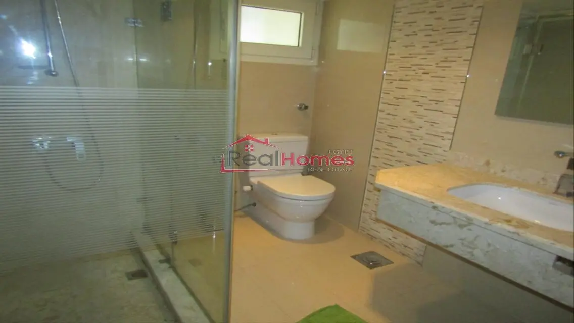 unique apartment nile view for rent
