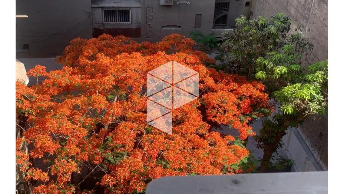 3bed apartment semi furnished  for rent in zamalek