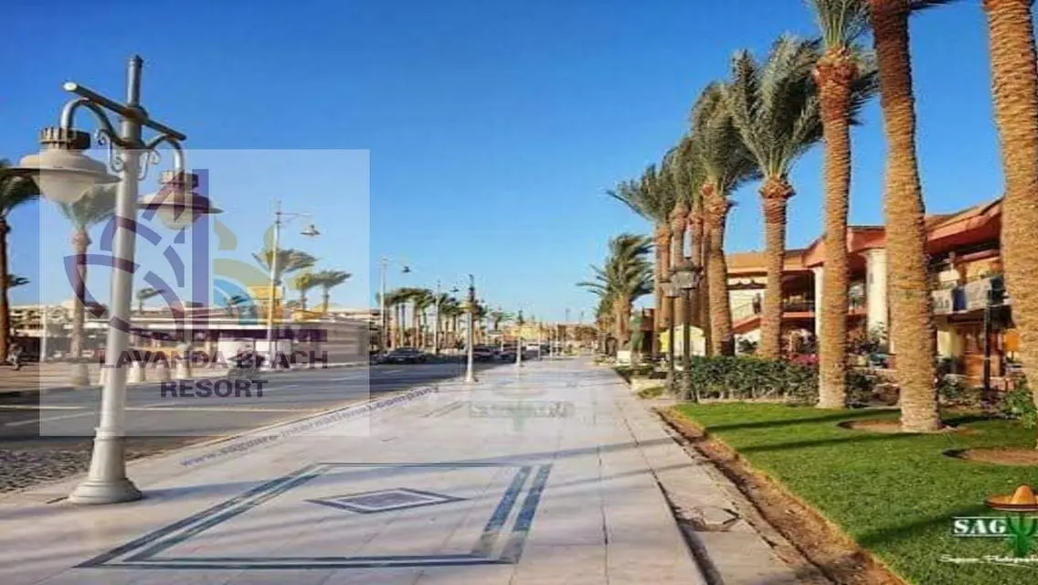 بدون مقدم شقة غرفتين نوم فيو حمام سباحة بالغردقة