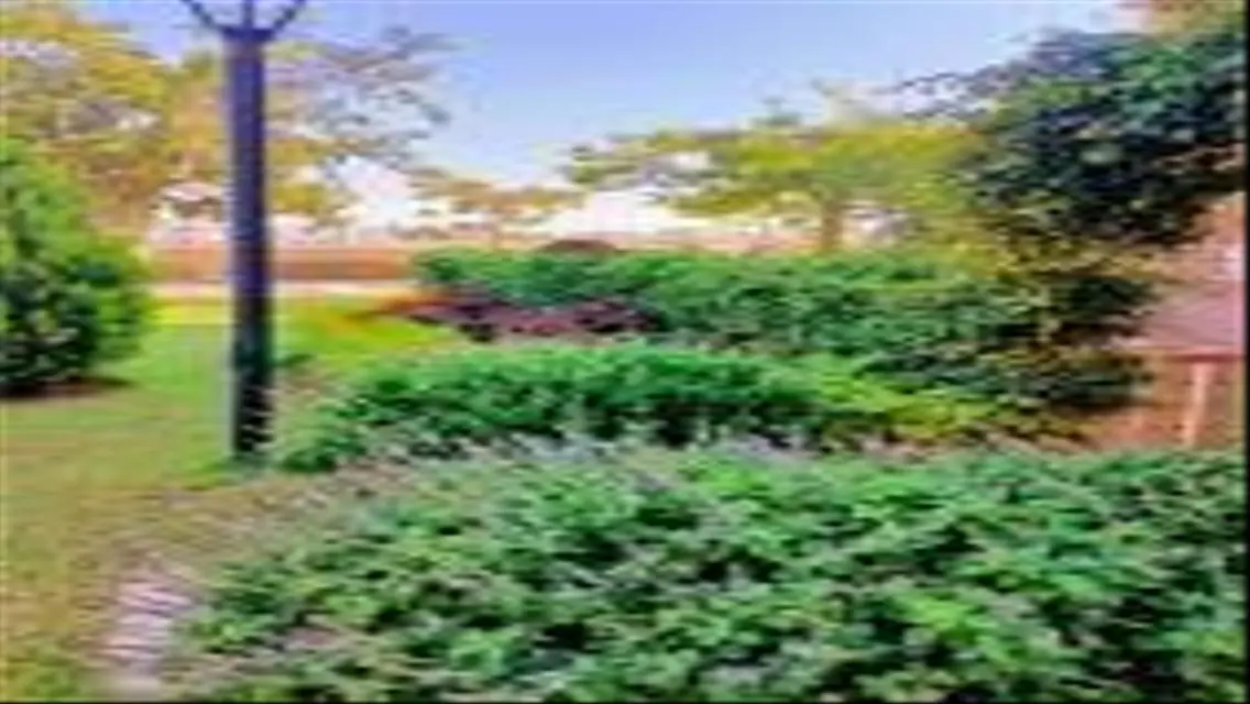 Furnished apartment for rent in Madinaty B7.