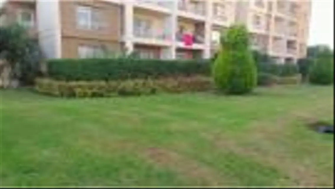 Furnished apartment for rent in Madinaty B7.
