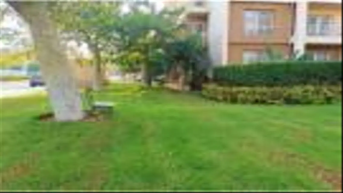 Furnished apartment for rent in Madinaty B7.