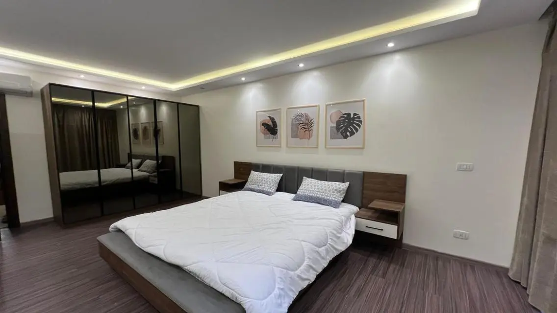 Super Lux Furnished Apartment for Rent in Eastown