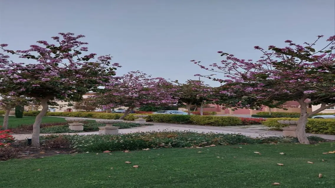 Prime Investment in the 6th Settlement Minutes AUC