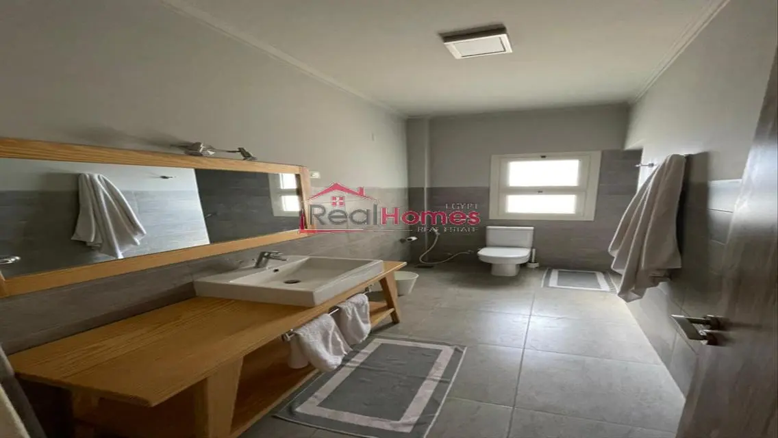 Stylish modern apartment for rent in zamalek