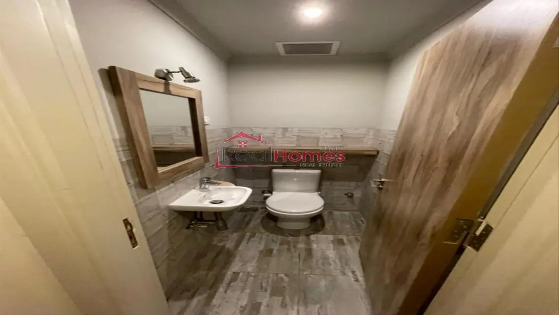 Stylish modern apartment for rent in zamalek
