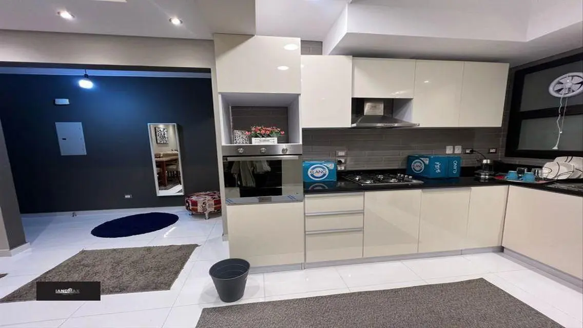 Modern furnished apartment for rent in Eastown, great location