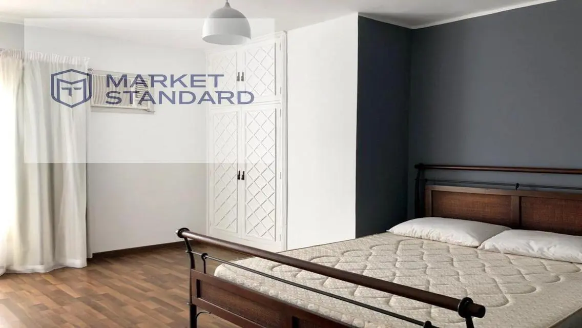 Fully Furnished Penthouse for rent in Maadi Degla