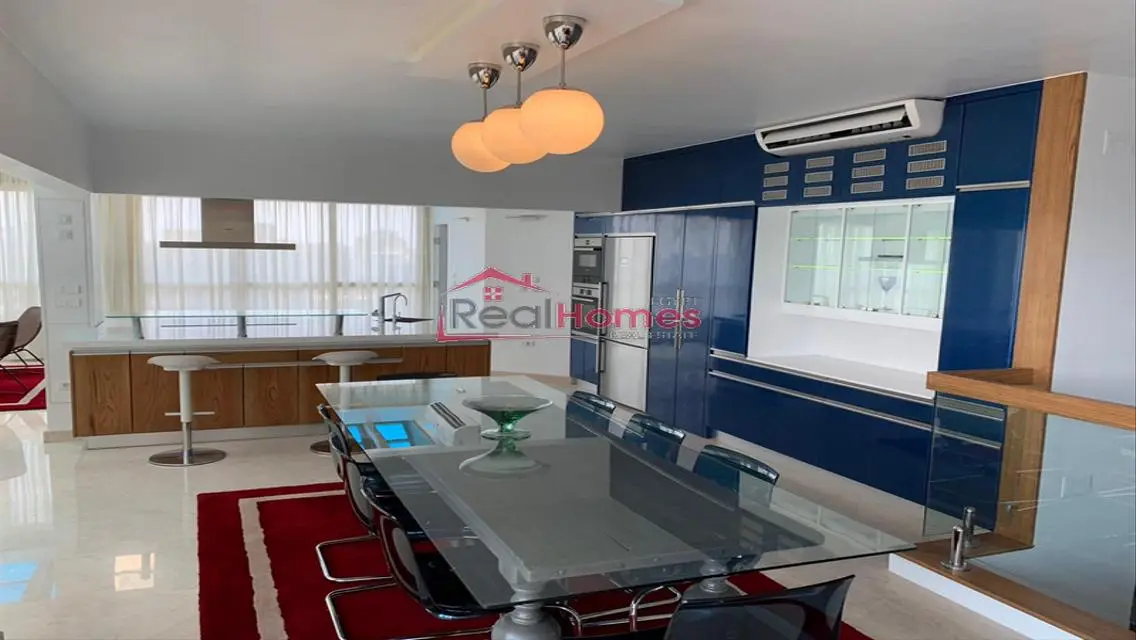 Amazing modern penthouse in south zmalek
