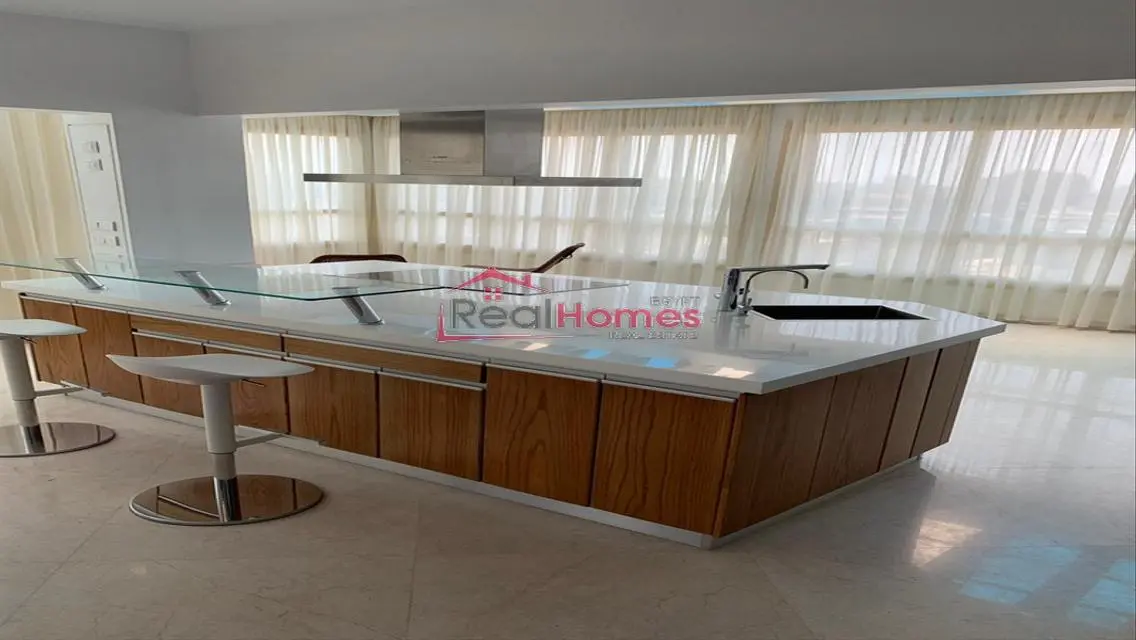 Amazing modern penthouse in south zmalek