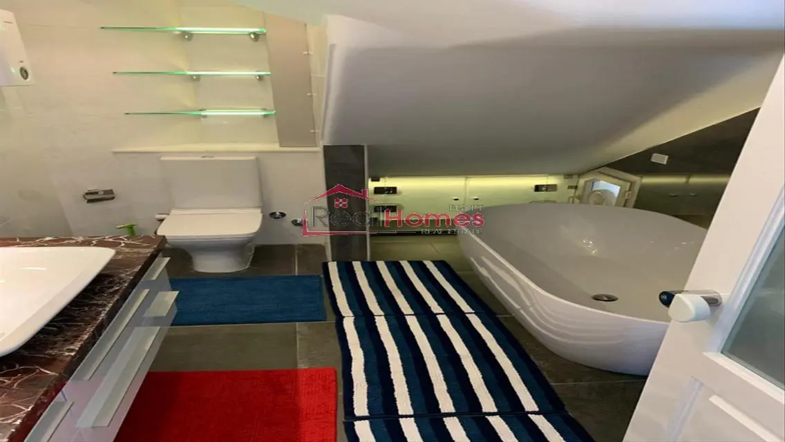 Amazing modern penthouse in south zmalek
