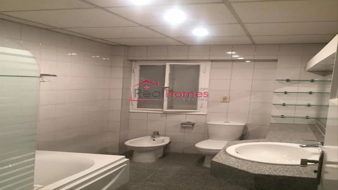 High ceiling renovated apartment for rent